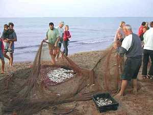 Fischer Portiragnes Plage