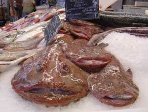 Languedoc-Roussillon Fisch