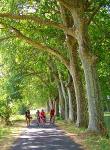 Portiragnes Plage Radfahren